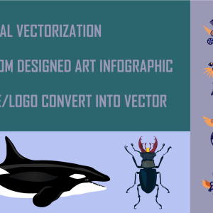Manual Vectorization + design art infographic